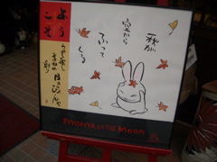 cute bunny picture