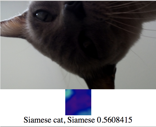Screen Shot 2019-03-22 at 12.31.04