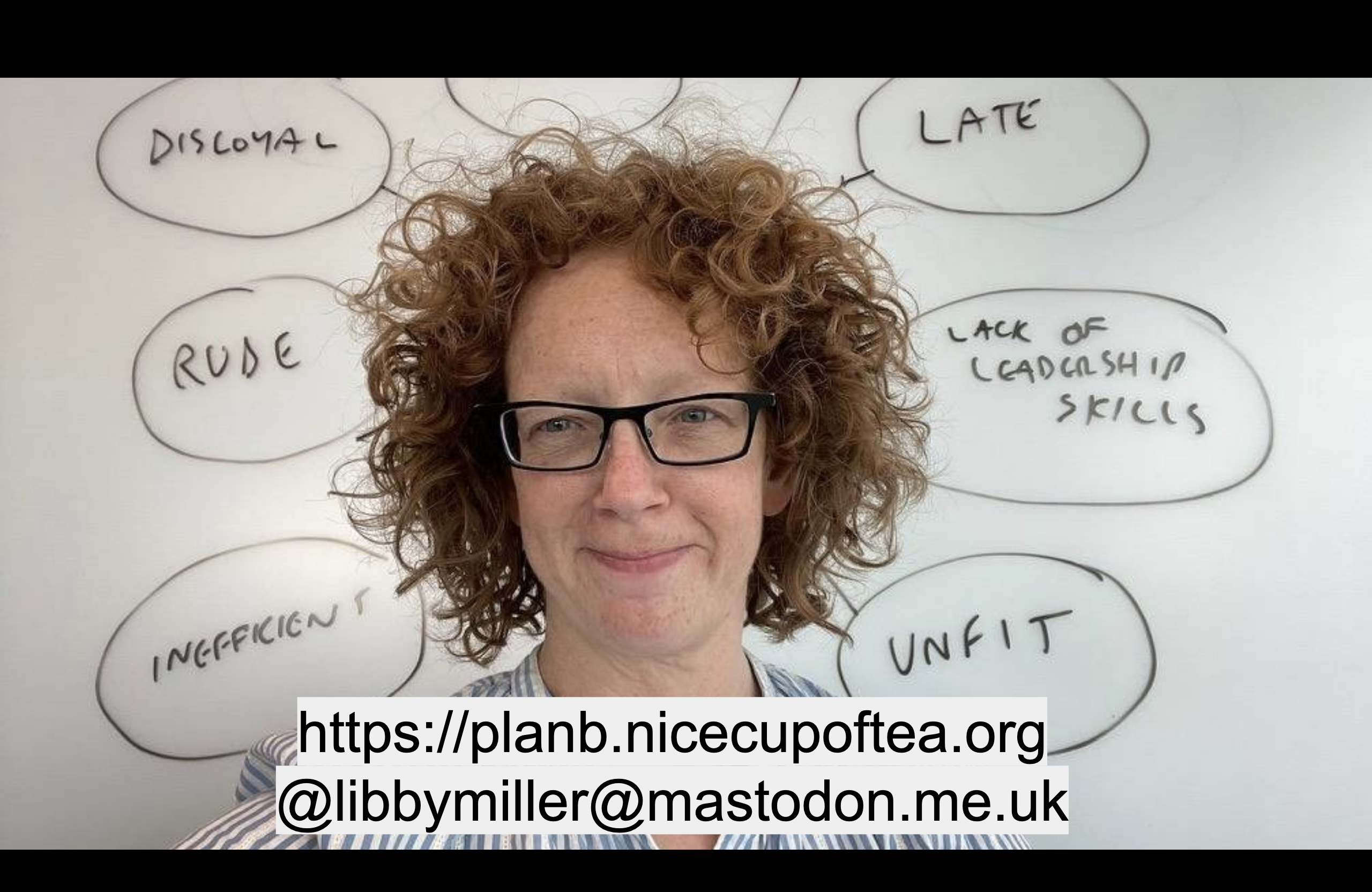 A picture of libby's head with various criticisms around it on a whiteboard. This is a joke from Hot Fuzz
